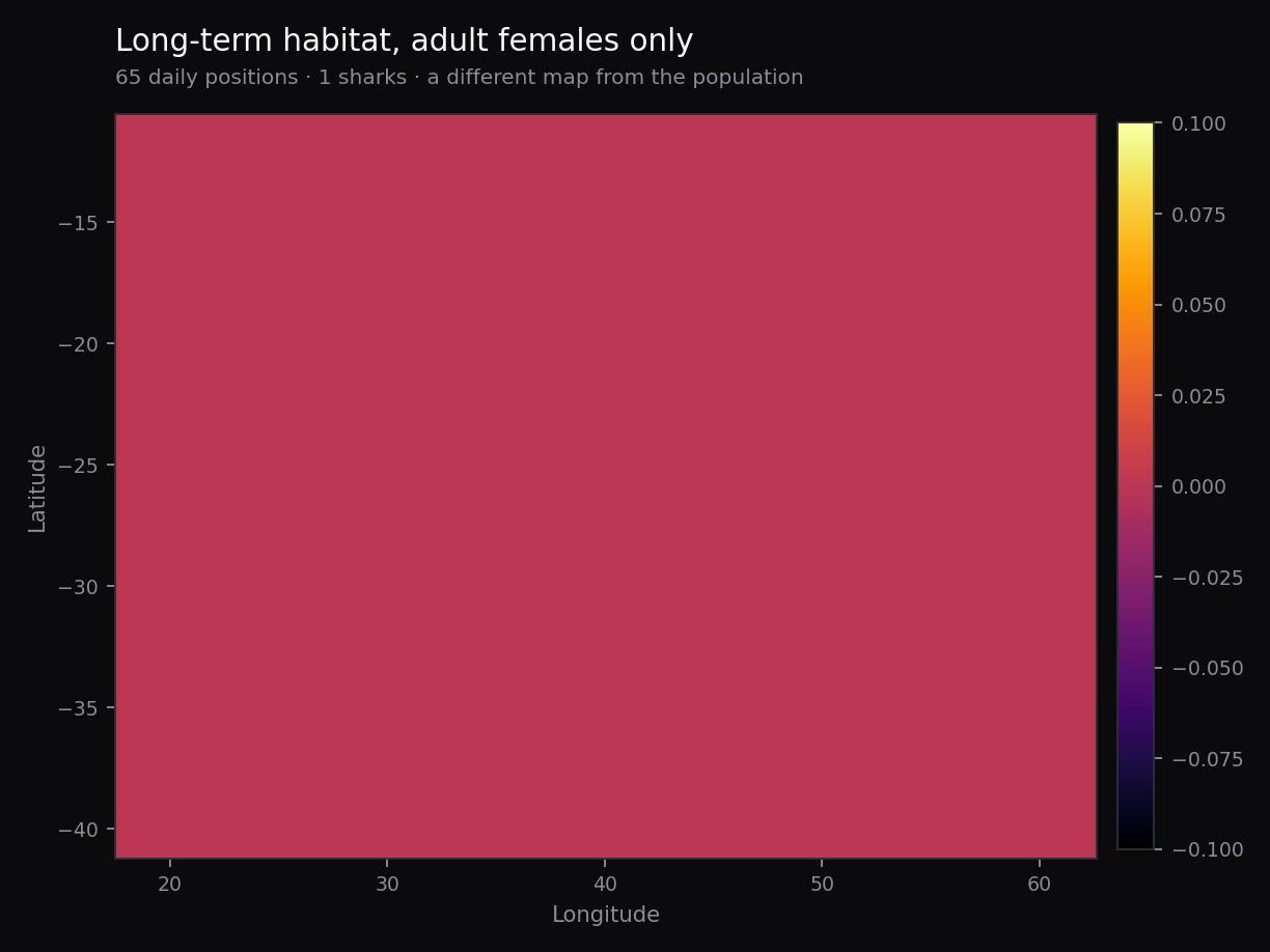 Illustrative long-horizon heatmap for the dataset's single tagged adult female shark